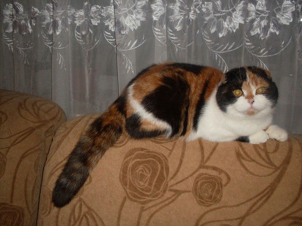 Людмила Башарина