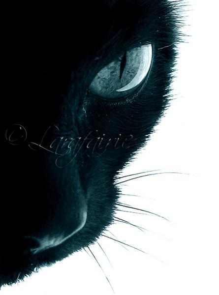 Тимур Ахияров