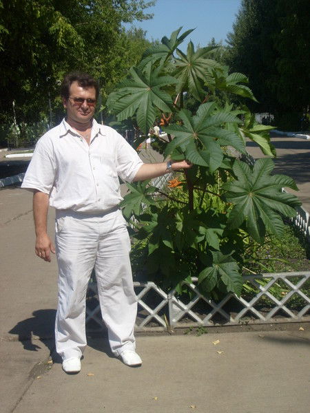 Кадыр Исмаилов