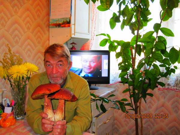 Геннадий Николаев