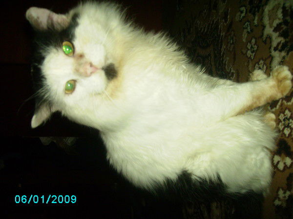 Настенька Урсу