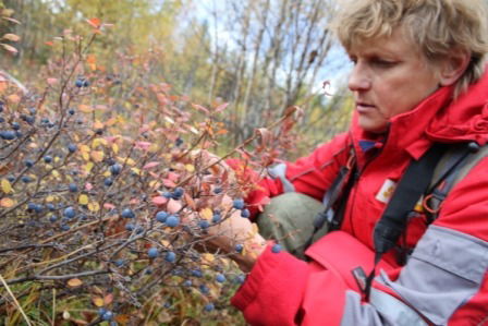 Татьяна Боярская