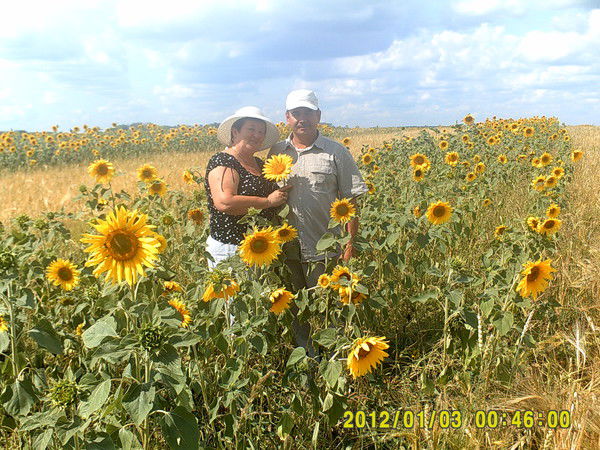 Люция Насыбуллина