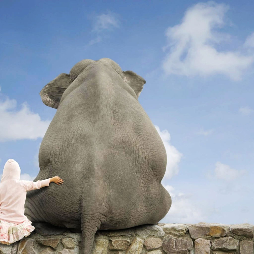 Антон Ахметшин