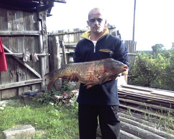 Макс Стахеев