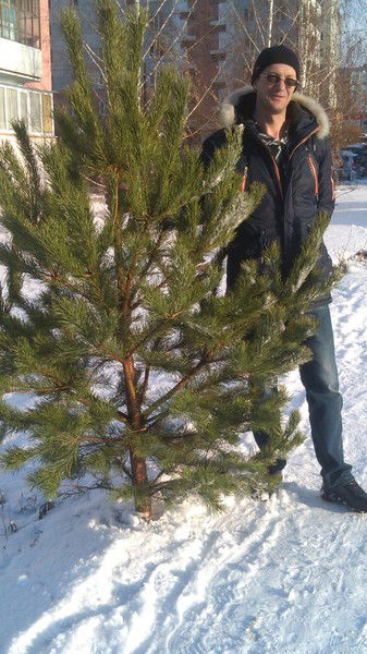 Сергей Сюзюмов