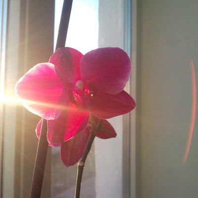 Яна Криушичева