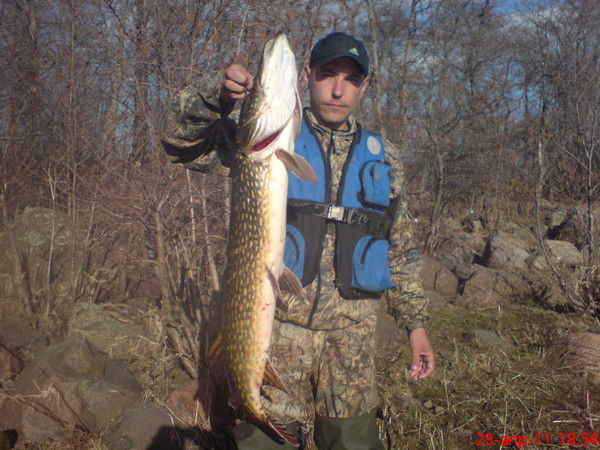 Александр Шаповалов