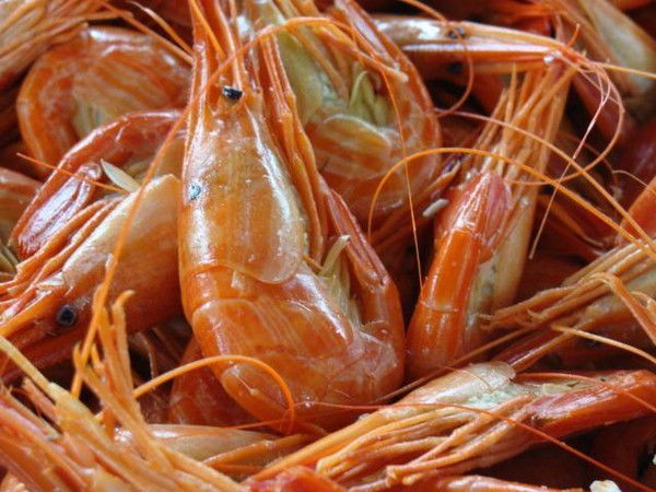 Алексей Скороход