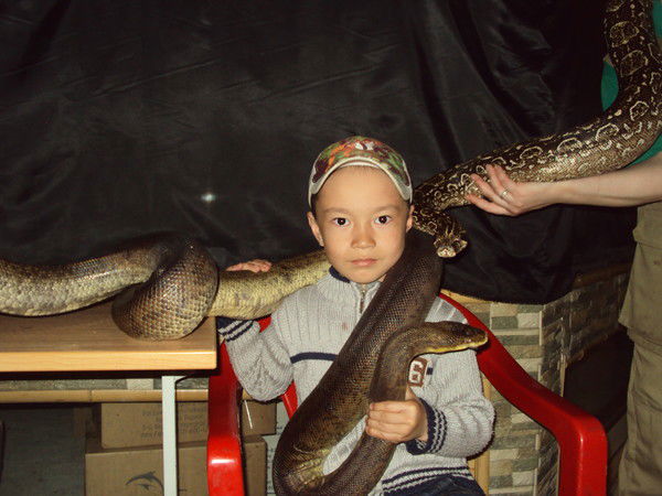 Динара Айтбаева