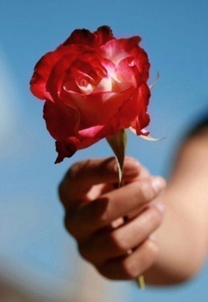 Люда Соколова