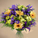 Нелли Тюрюкова