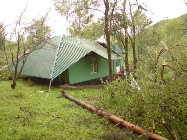 Дима Фелимонов