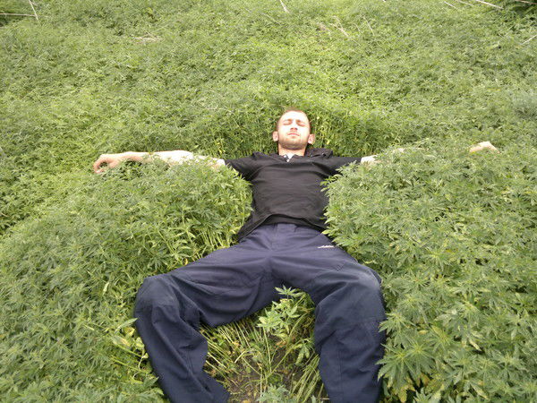 ........... ...........