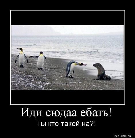 Степан Сивков