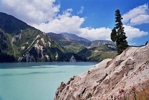 Наташа Шилкова