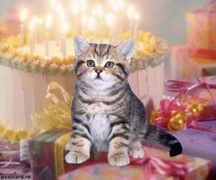 Юлия Бондаренко