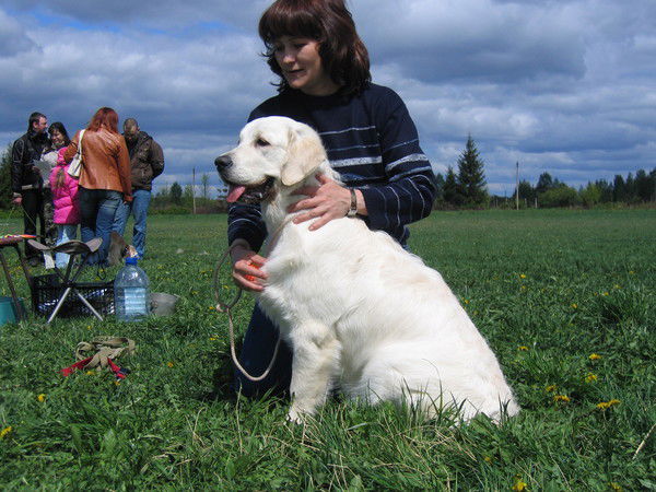 Елена Колесникова