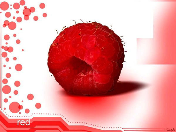 Ирина Малиновская