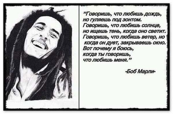 Талин Арманов