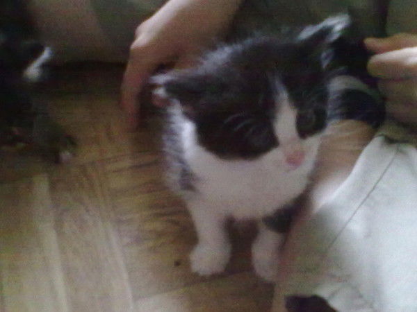 Матенияз Сулейманов