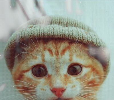 Алиса Матерова