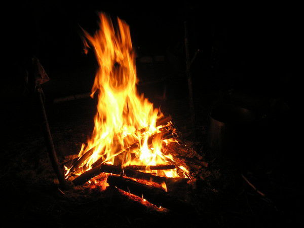 Людмила Карцева