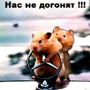 Вадим Алейник