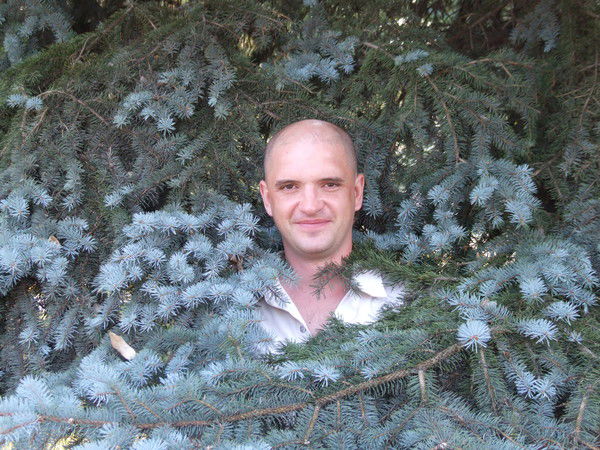 Артём Антипкин