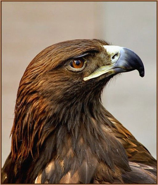 Иван Иванов