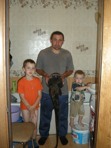 Анатолий Берозка