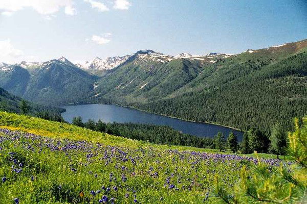 Организационно-Контрольный Отдел Аппарат