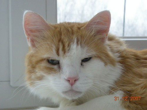 Cергей Твиров