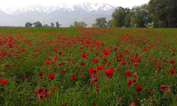 Жуманбек Байрашев