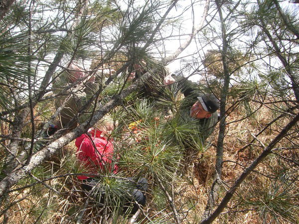 Неизвестно Неизвестно