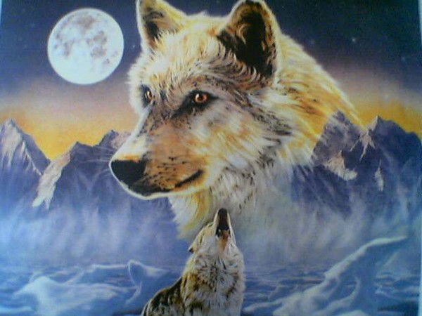 Алексей Кураев