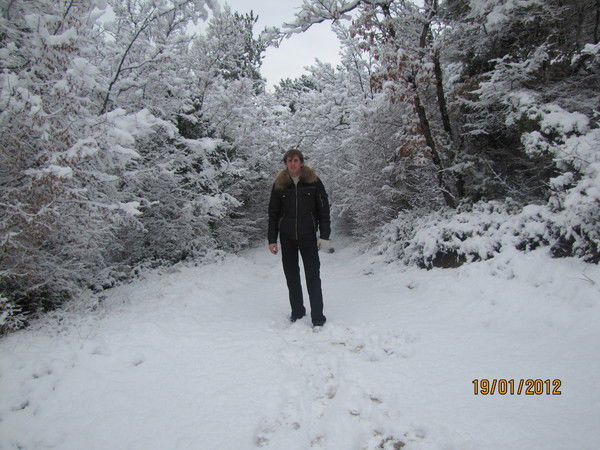 Дмитрий Лаврентьев