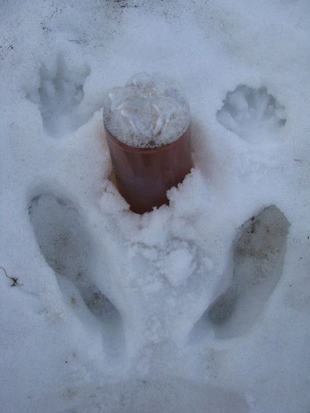 Денис Мариничев