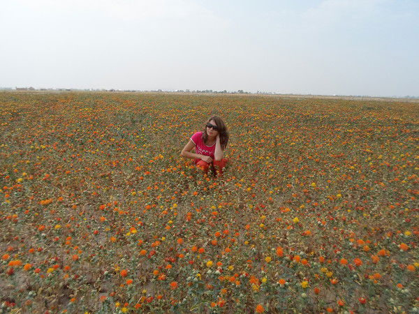 Айгуль Абдраим