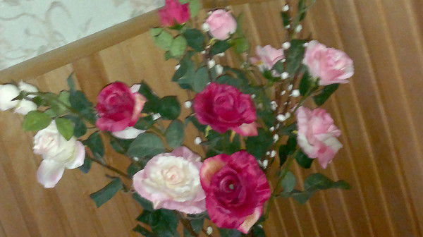 Дюсш №1 Грозненского Района