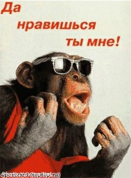 Владмир Михайлов