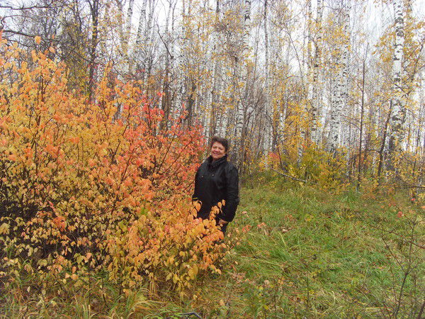 Наиля Араксина