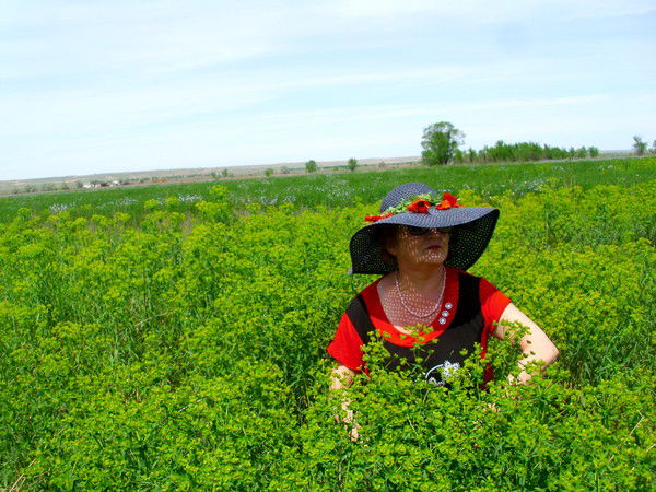 Вера Дворникова