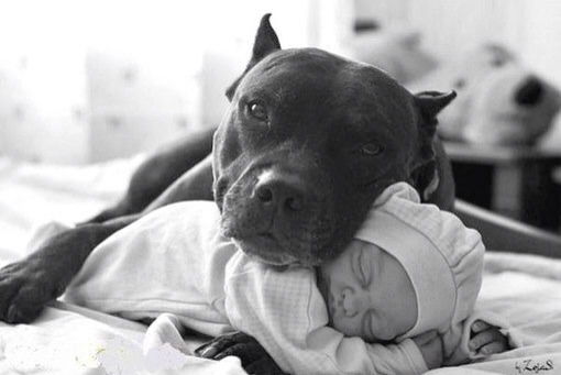 Султанов Ильхом