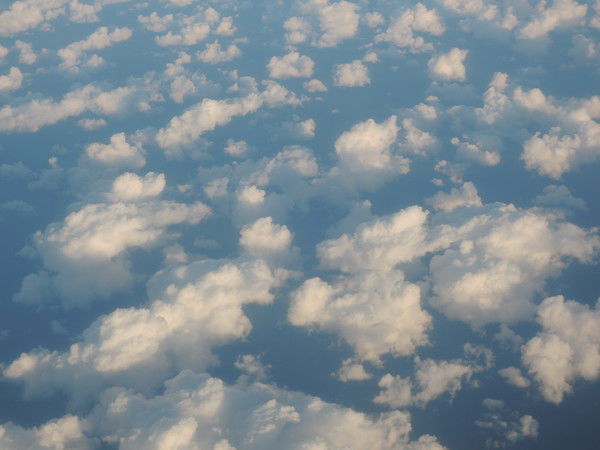 Ольга Кострова