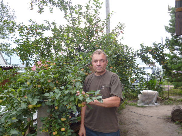 Бронислав Короткин