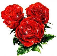 Байгожина Салтанат