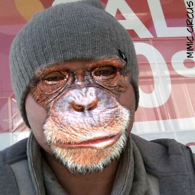 Александр Алибабаевич