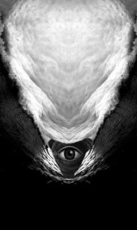 Андрей Котяхов