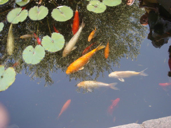 Ольга Лавина